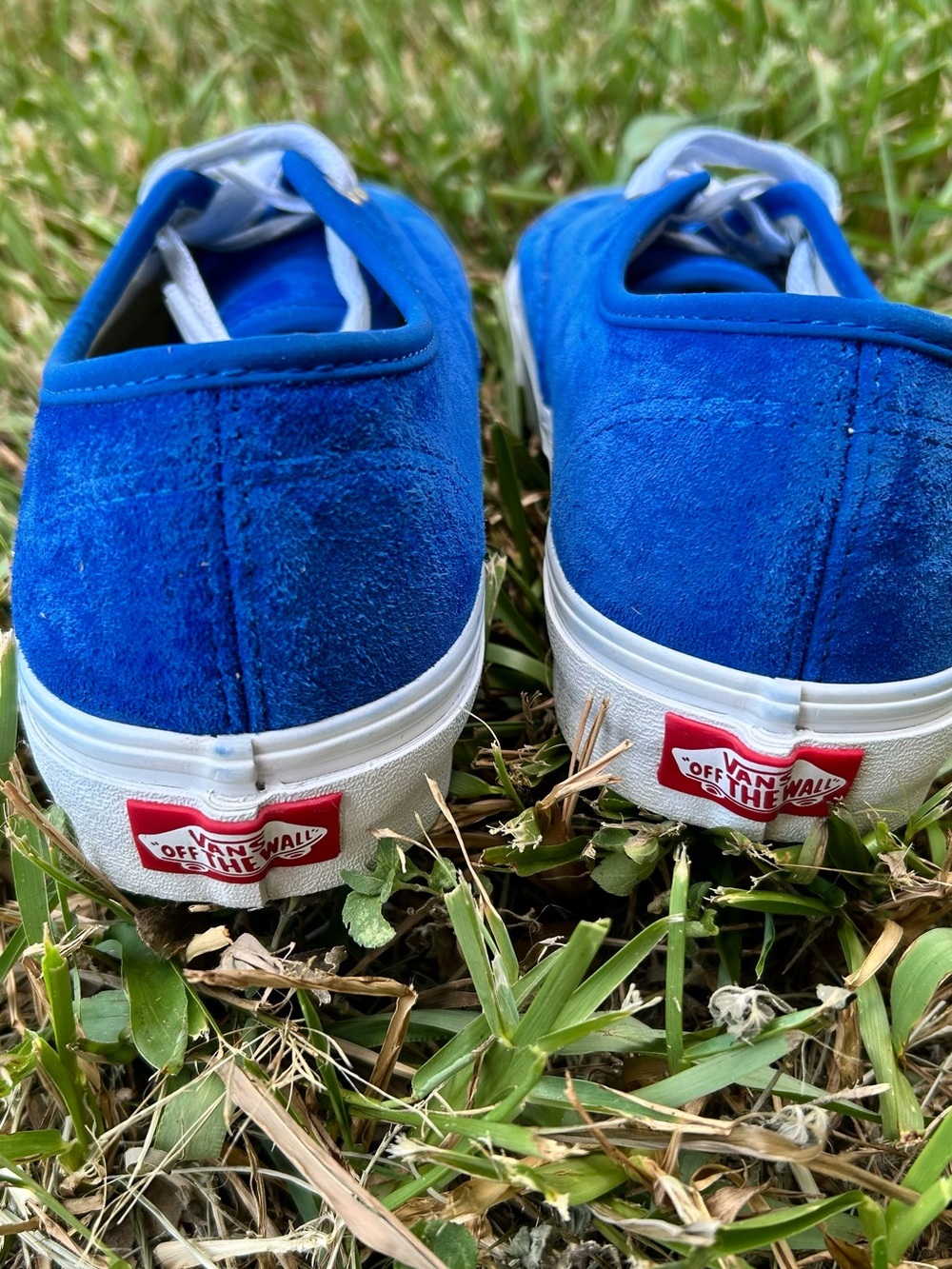 Vans Classic Authentic Suede Sneakers - Blue Unisex - Picture 5 of 5